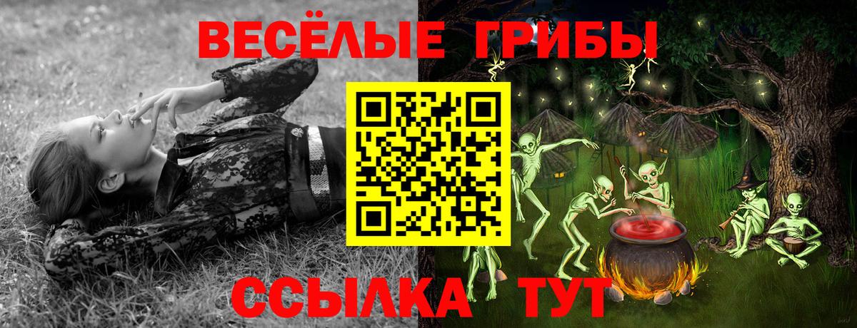Псилоцибиновые грибы ЛСД Берёзовский